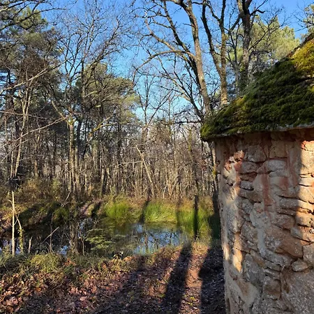 La Ferme De Belbouys Soturac