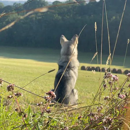 La Ferme De Belbouys *