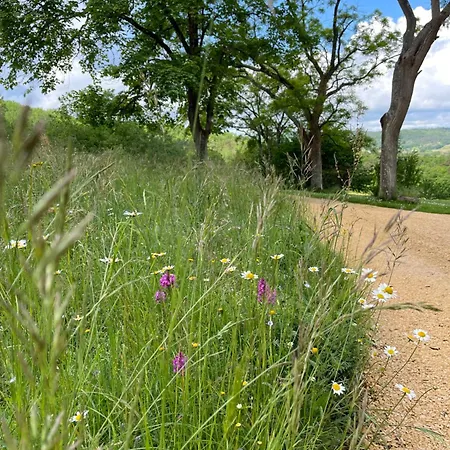 La Ferme De Belbouys