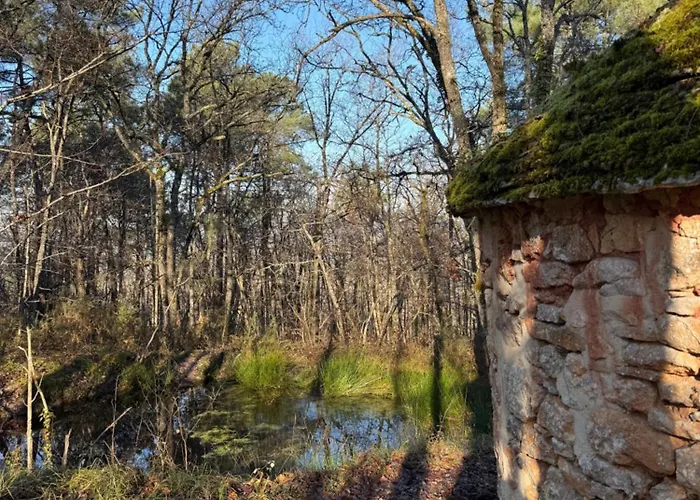 La Ferme De Belbouys Soturac