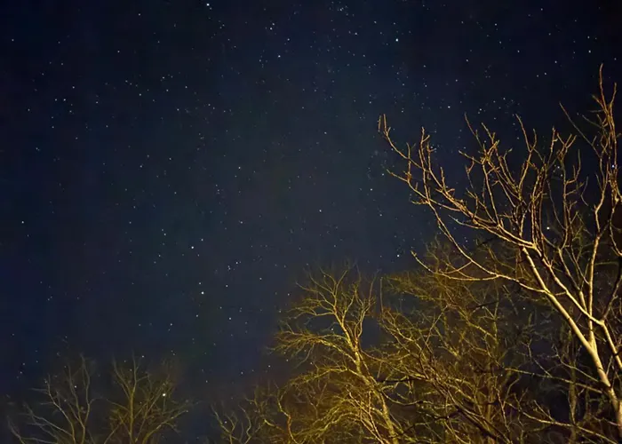 Дом отдыха La Ferme De Belbouys *