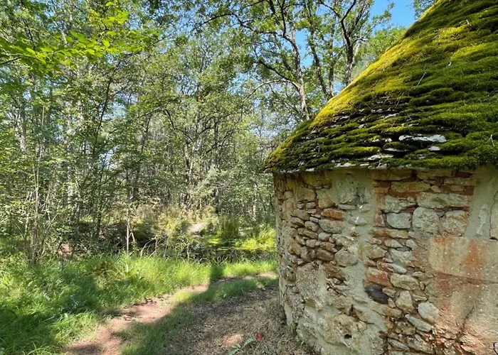 Дом отдыха La Ferme De Belbouys *